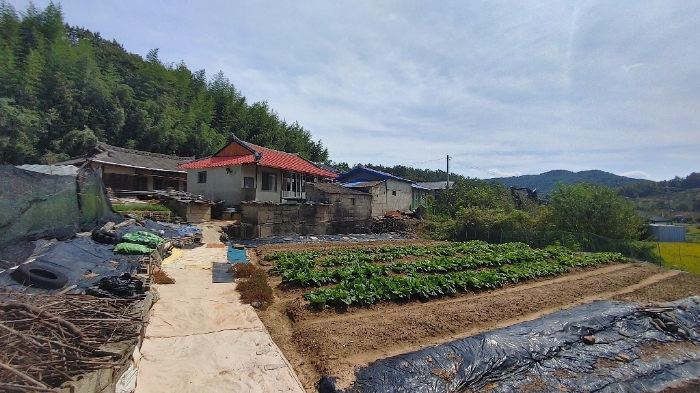 2024타경37437 사진