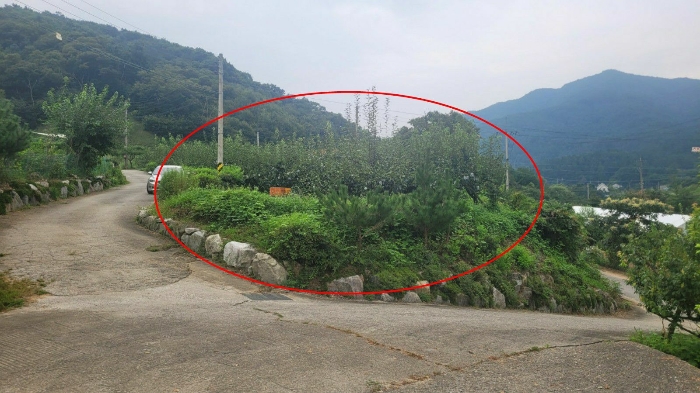 2024타경38085 사진