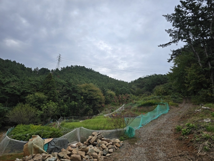 2024타경38201 사진