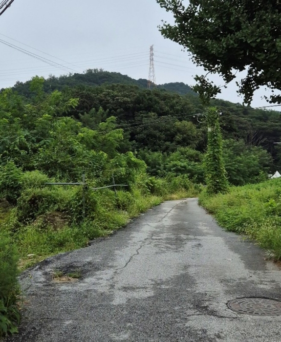 2024타경38405 사진