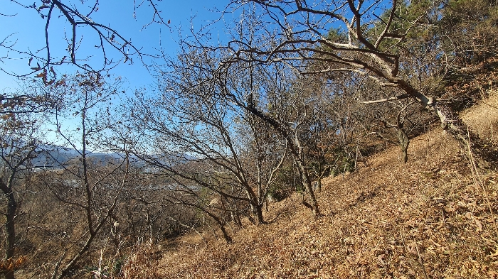 2024타경40211 사진