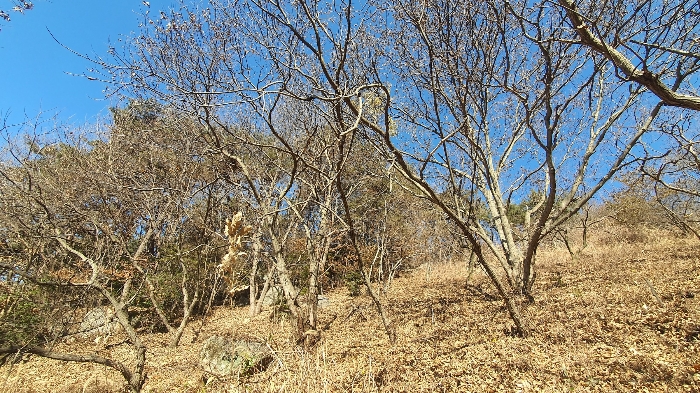 2024타경40211 사진