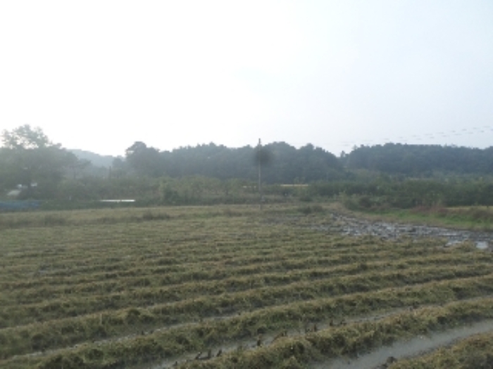 2024타경40415 사진