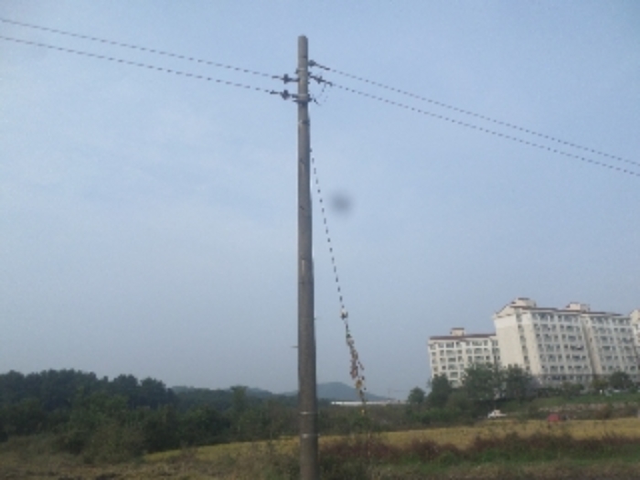 2024타경40415 사진