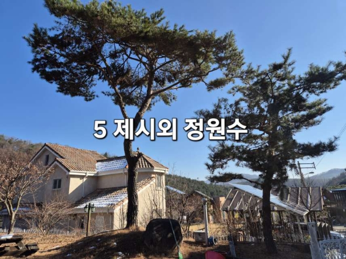2024타경41449 사진