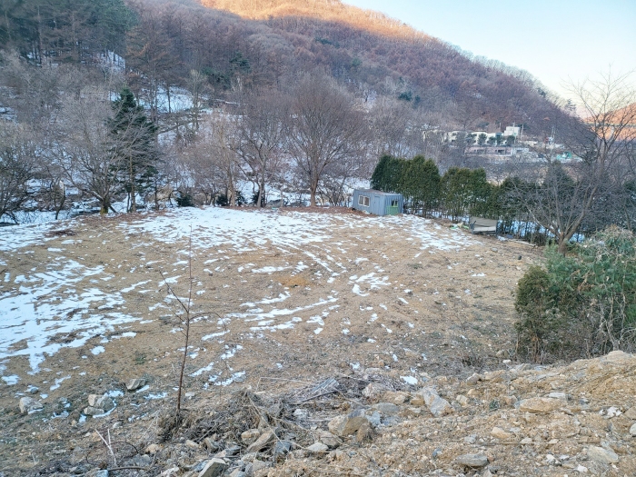 2024타경41616 사진