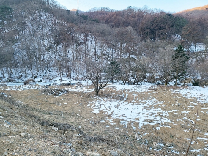 2024타경41616 사진