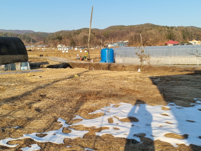 2024타경41975 사진