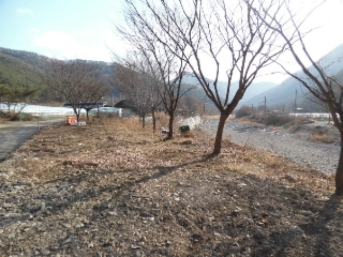 2024타경42763 사진