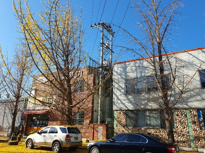 2024타경43980 사진