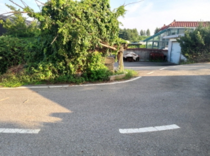 2024타경49071 사진