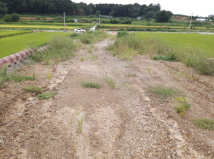 2024타경50705 사진