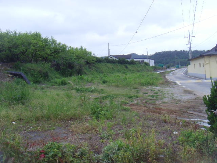 2024타경51694 사진