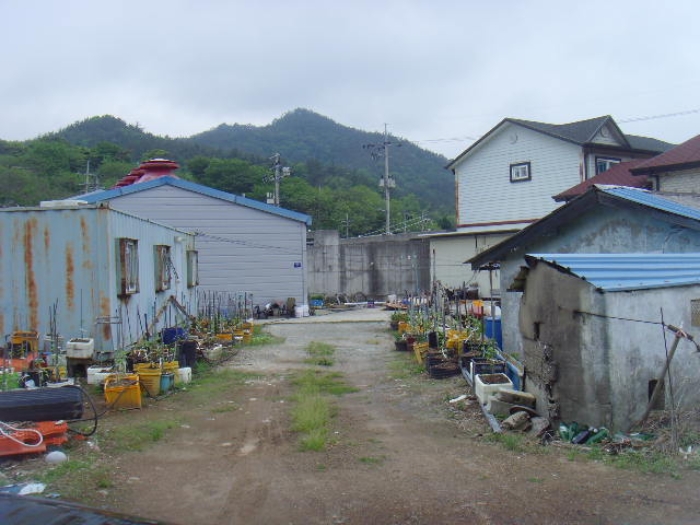 2024타경51694 사진
