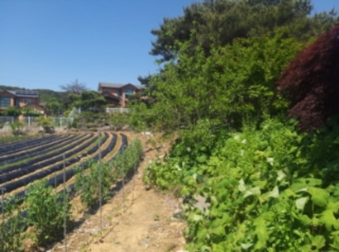 2024타경53855 사진