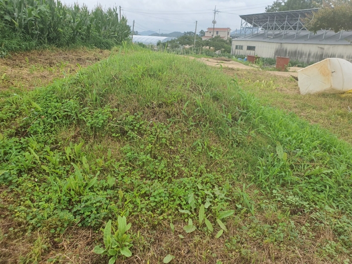 2024타경54083 사진