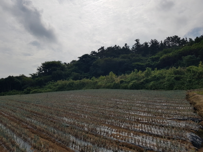 2024타경54112 사진