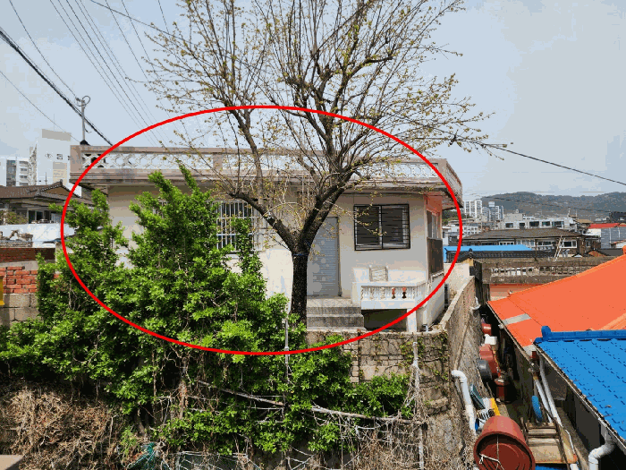 2024타경61054 사진