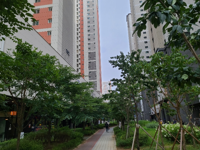 2024타경61617 사진