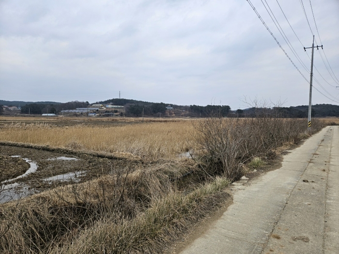2024타경61658 사진