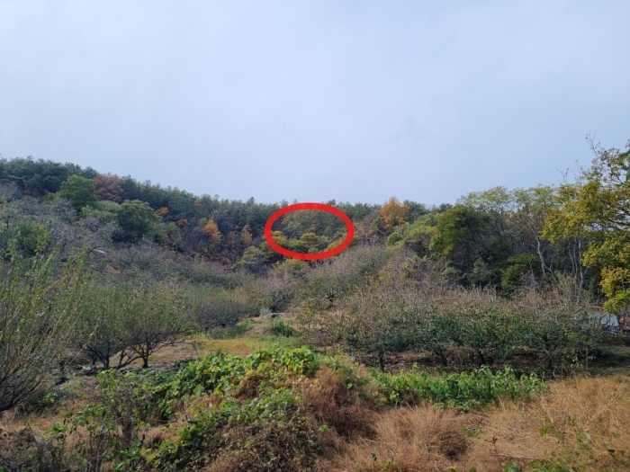 2024타경61735 사진