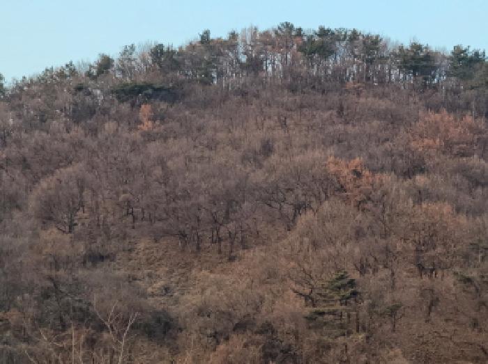 2024타경63199 사진