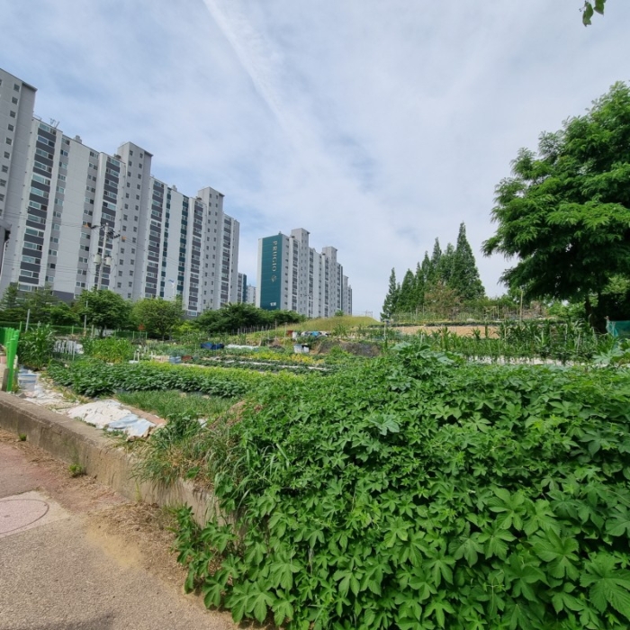 2024타경70298 사진