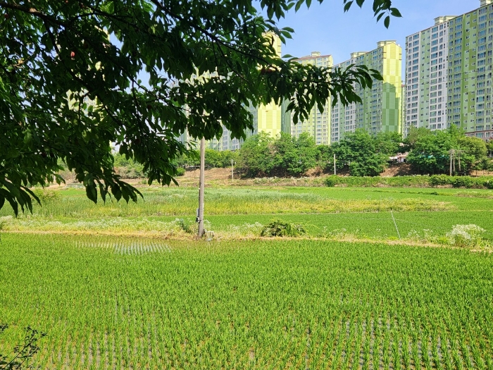 2024타경74337 사진