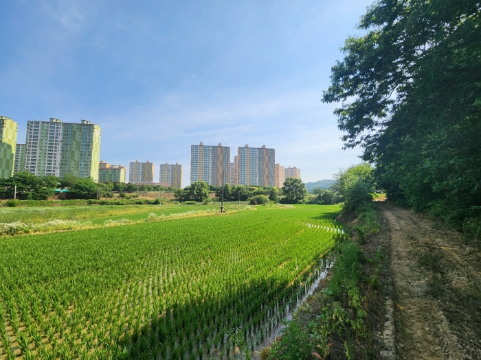 2024타경74337 사진