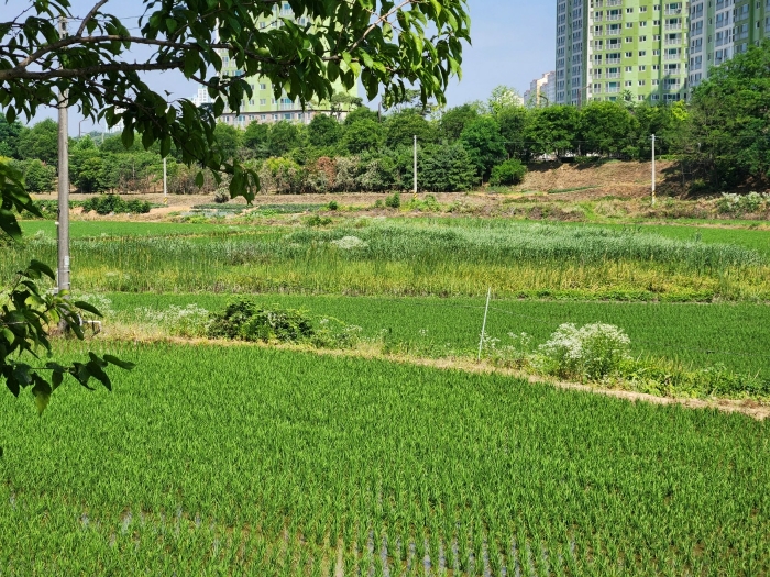 2024타경74337 사진