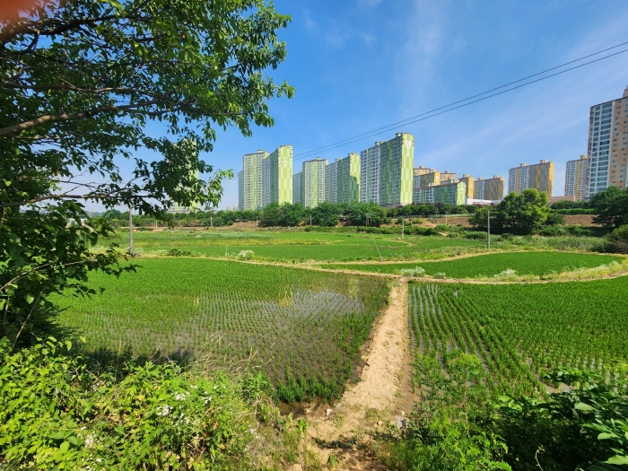 2024타경74337 사진