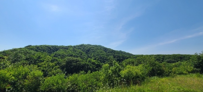 2024타경79053 사진