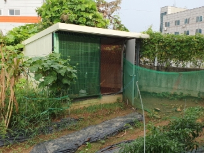 2024타경81526 사진