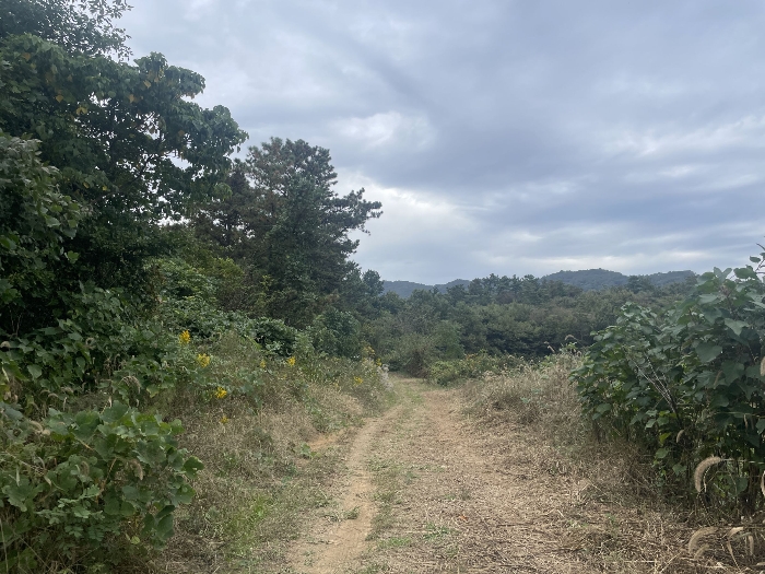 2024타경82801 사진