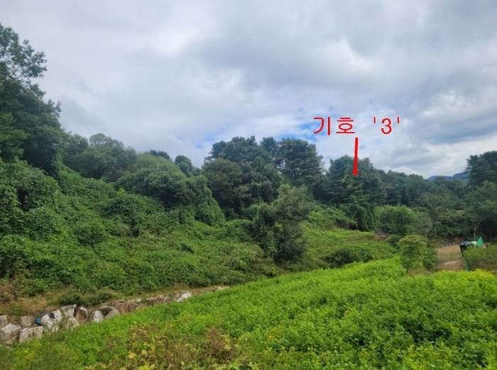 2024타경83148 사진