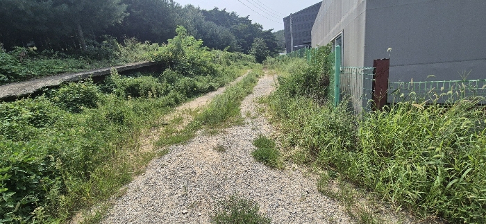2024타경85238 사진