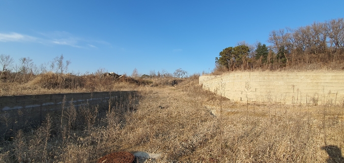 2024타경85617 사진