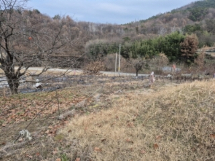 2024타경87066 사진