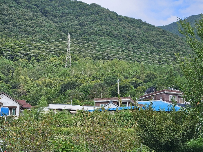 2024타경105139 사진