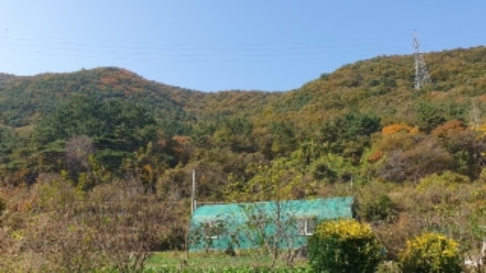 2024타경106316 사진