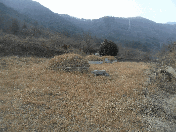2024타경106316 사진
