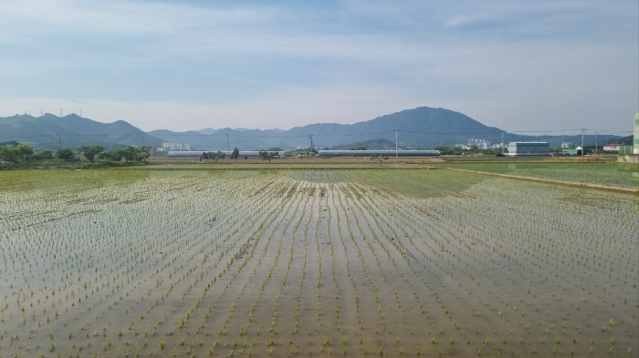 2024타경106941 사진