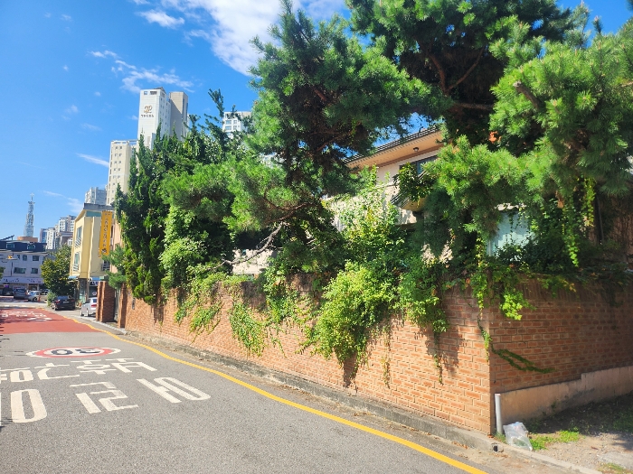 2024타경107628 사진