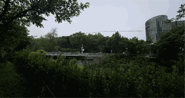 2024타경110365 사진