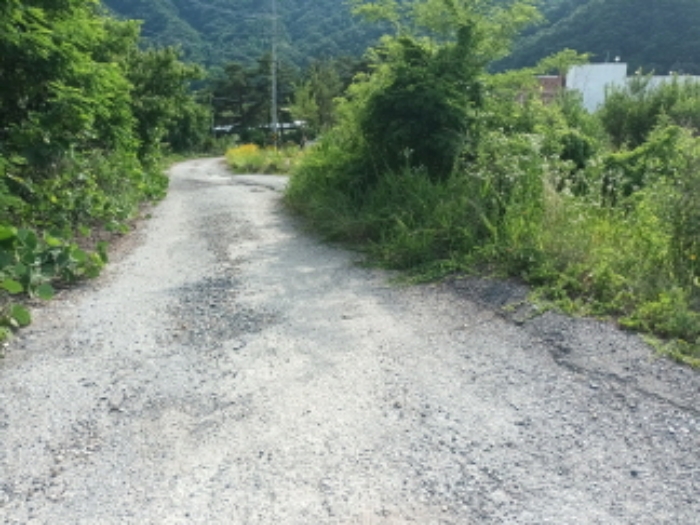 2024타경110821 사진