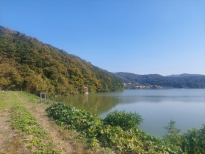 2024타경115054 사진