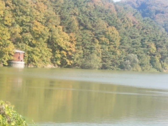 2024타경115054 사진
