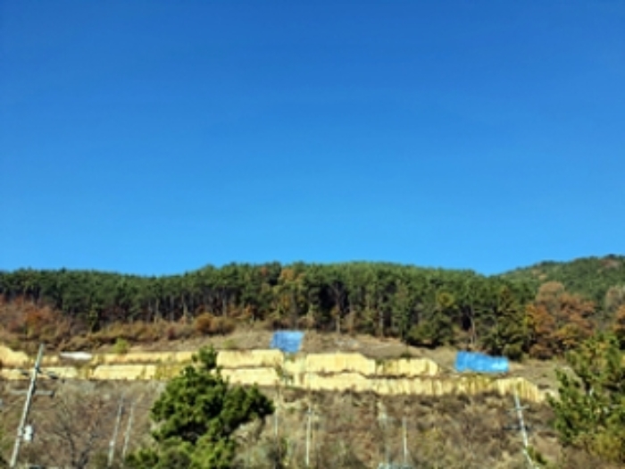 2024타경116054 사진