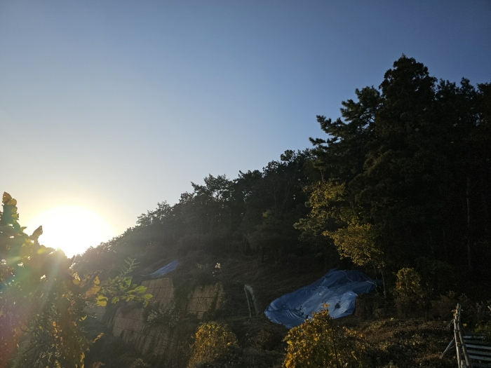 2024타경116054 사진