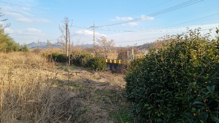 2024타경116849 사진